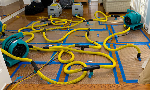Professional Crawl Space Water Removal technician working in Edmonson, TX